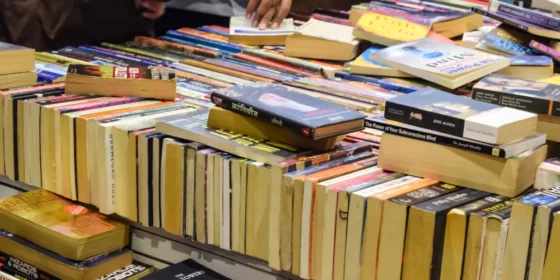 Foire aux livres de Décines-Charpieu