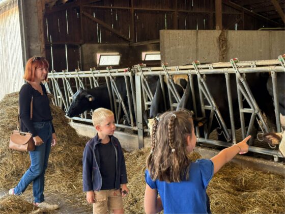 À la ferme Allarousse à Colombier-Saugnieu : immersion dans le monde agricole local
