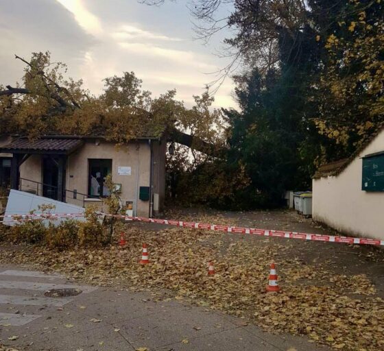 Soutien à la crèche Les Renardeaux de Saint-Laurent-de-Mure