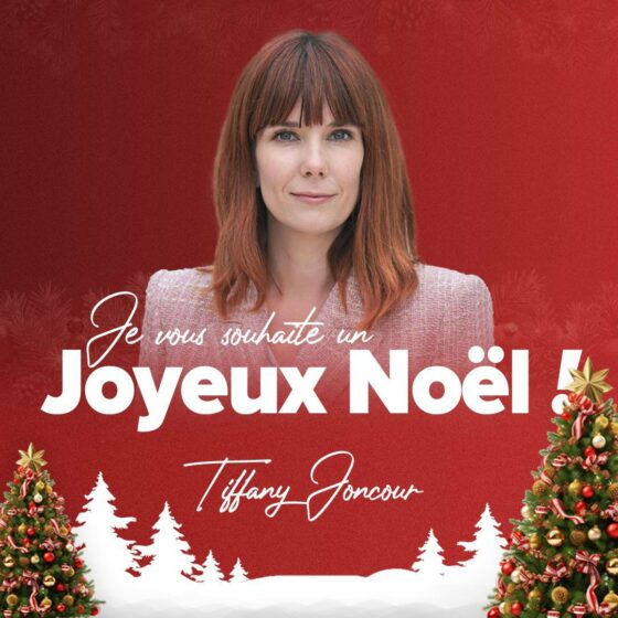 Joyeux Noël ! 🎄✨